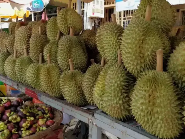 Marché Kampot