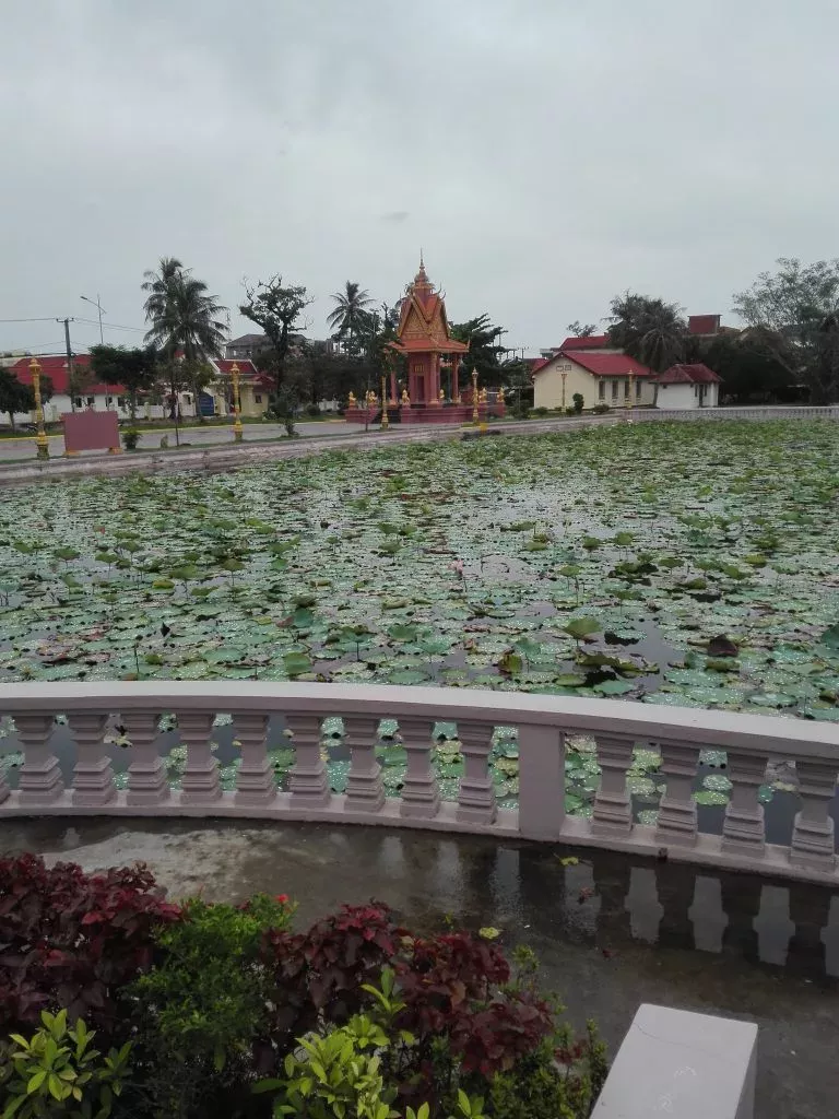 Lotus Pond