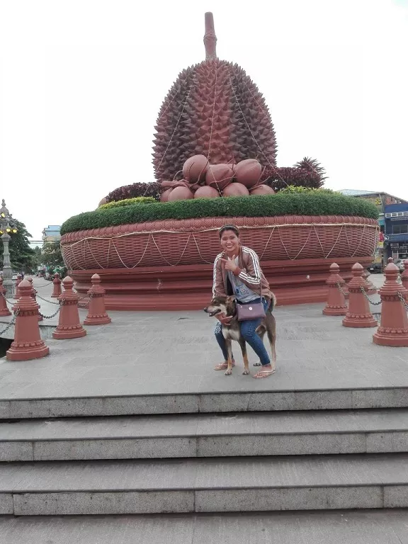 Durian Roundabout