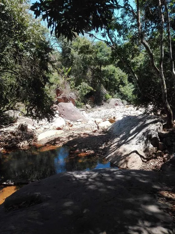 Veal Pouch Waterfall