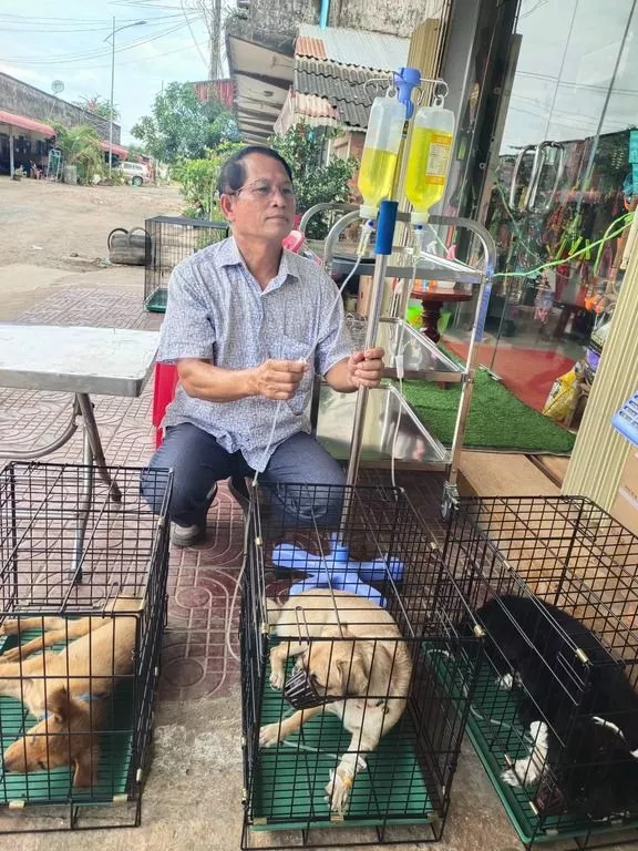 Vétérinaire de Koh Pich